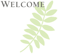 Welcome to Sarah LaValley Garden Design